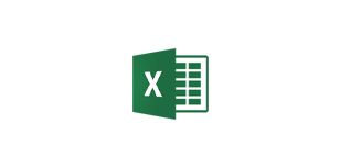 MS Excel